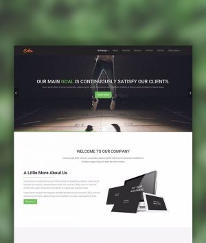 Color WordPress Theme