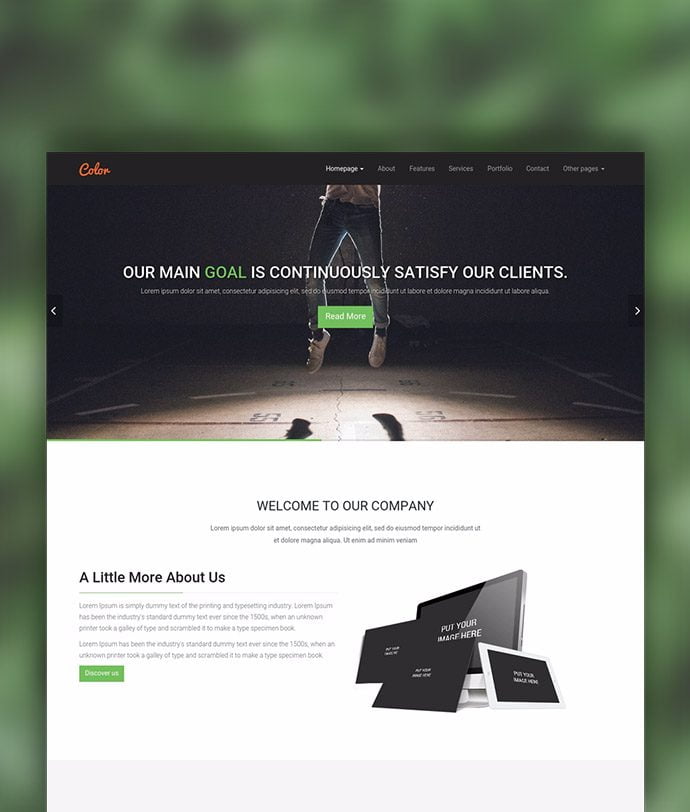 Color WordPress Theme - Image 2