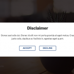 Disclaimer Popup - Image 4