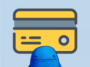 Custom Credit Card Icons for Easy Digital Downloads